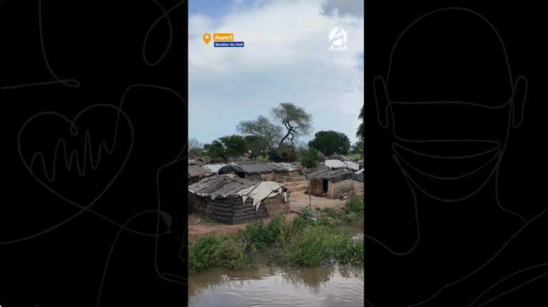 Inondations Soudan du Sud ALIMA